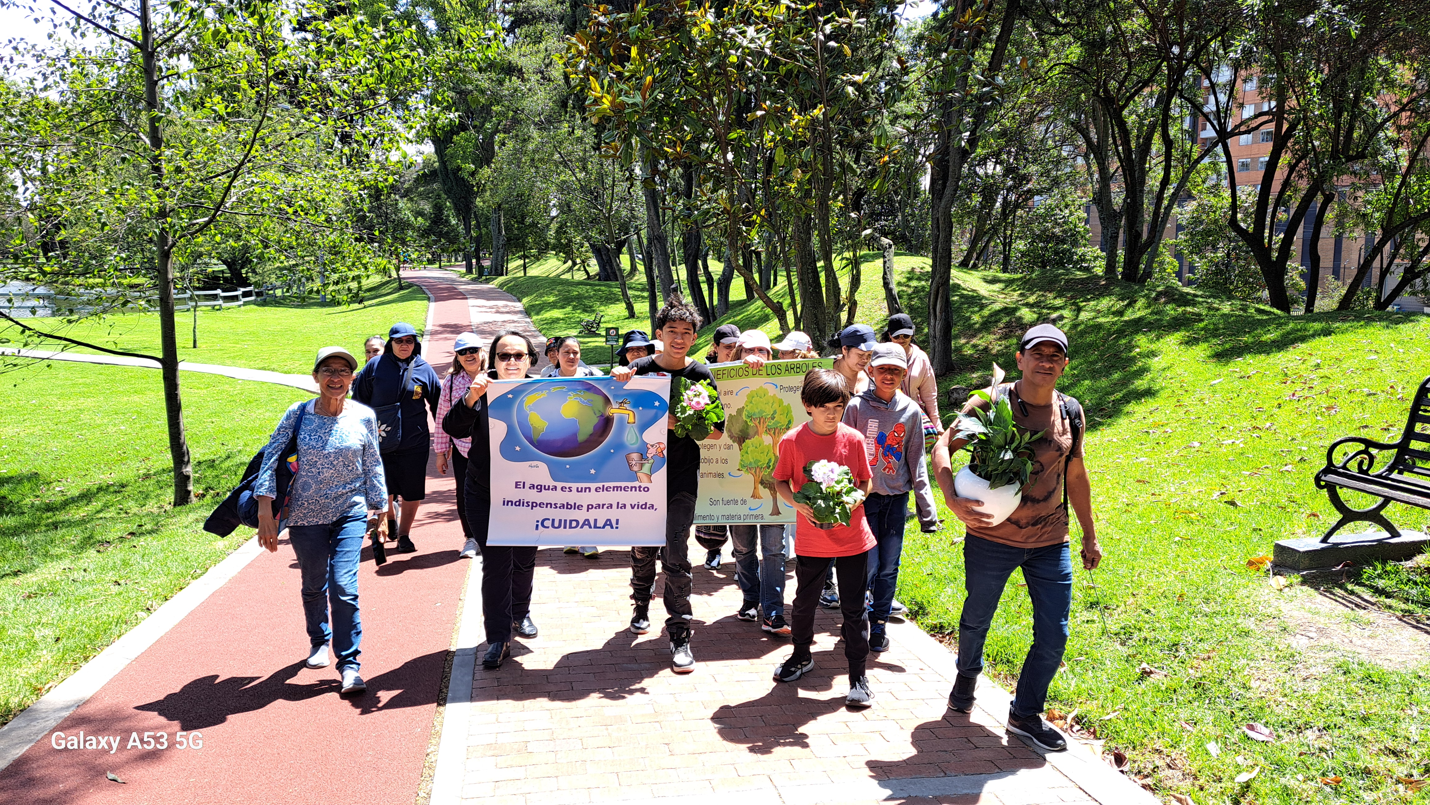 Comité Ecológico