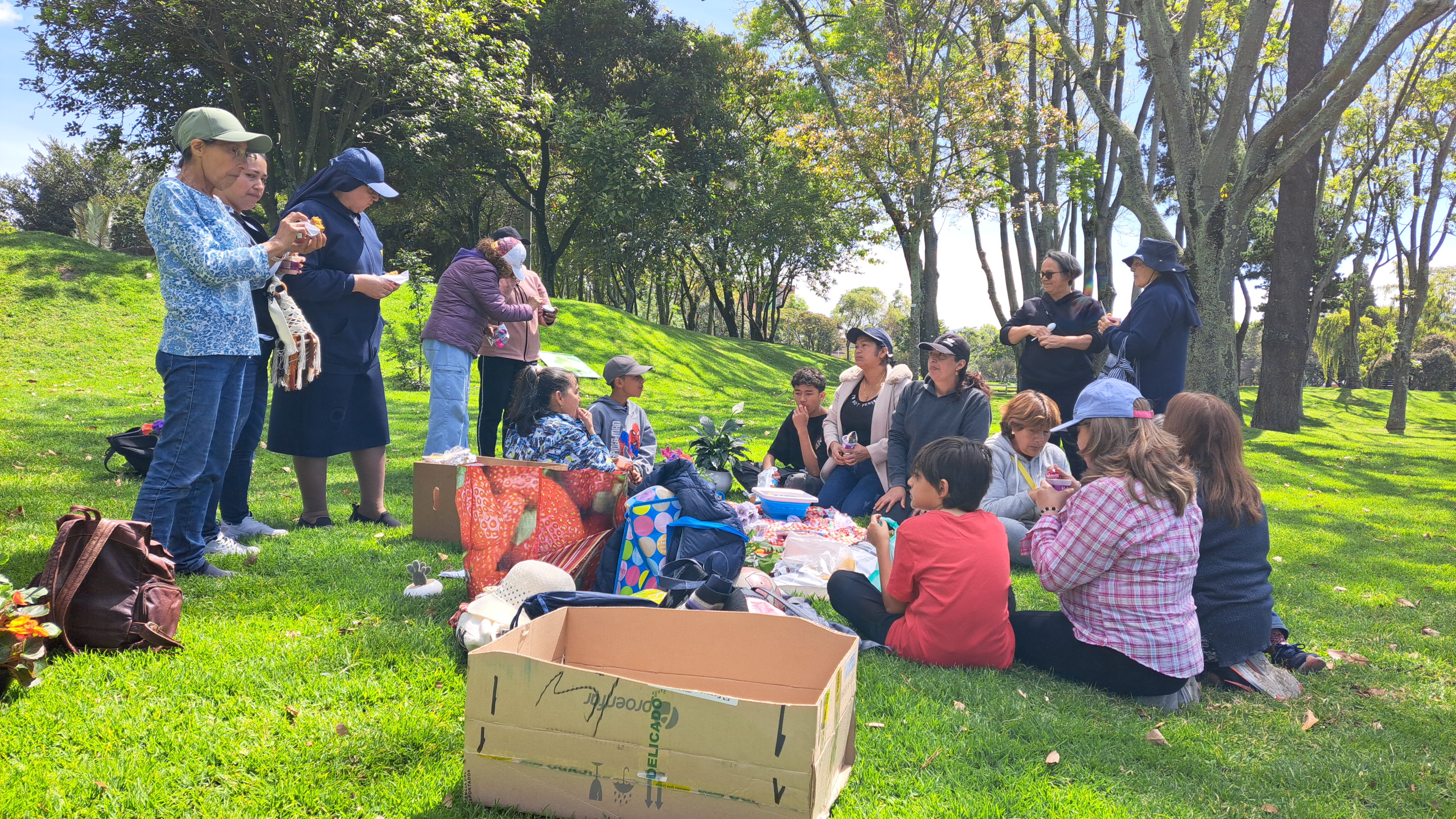 Comité Ecológico