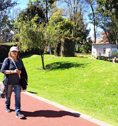 Comité Ecológico